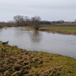 20220220_114817-8c95004e