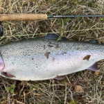 Screenshot 2022-05-07 at 20.47.55-d2b69056