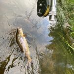 tempImage4mpGWh-f60c15ab